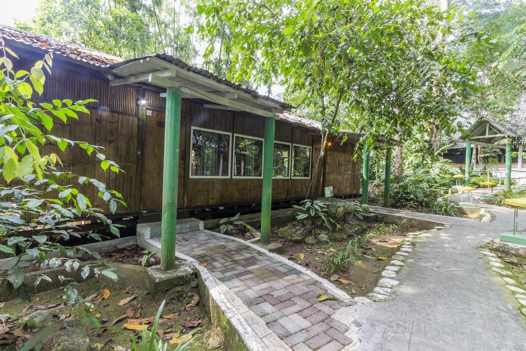 Hosteria El Paraiso De Las Orquideas Archidona Bagian luar foto