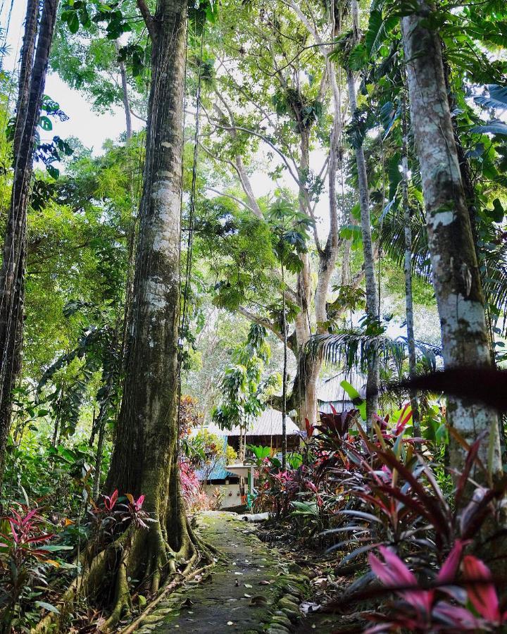 Hosteria El Paraiso De Las Orquideas Archidona Bagian luar foto