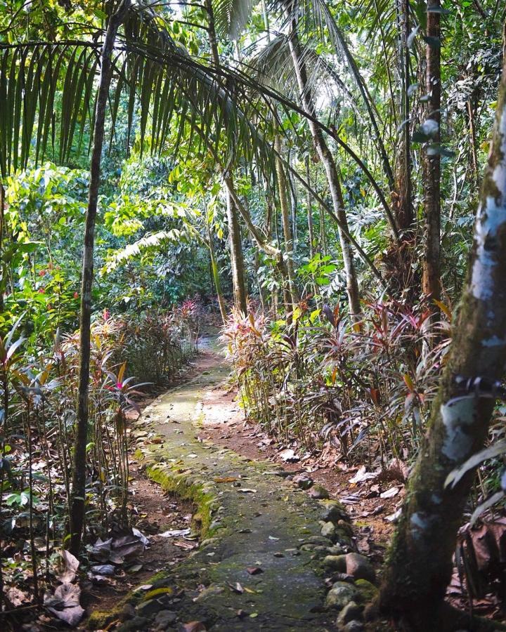 Hosteria El Paraiso De Las Orquideas Archidona Bagian luar foto